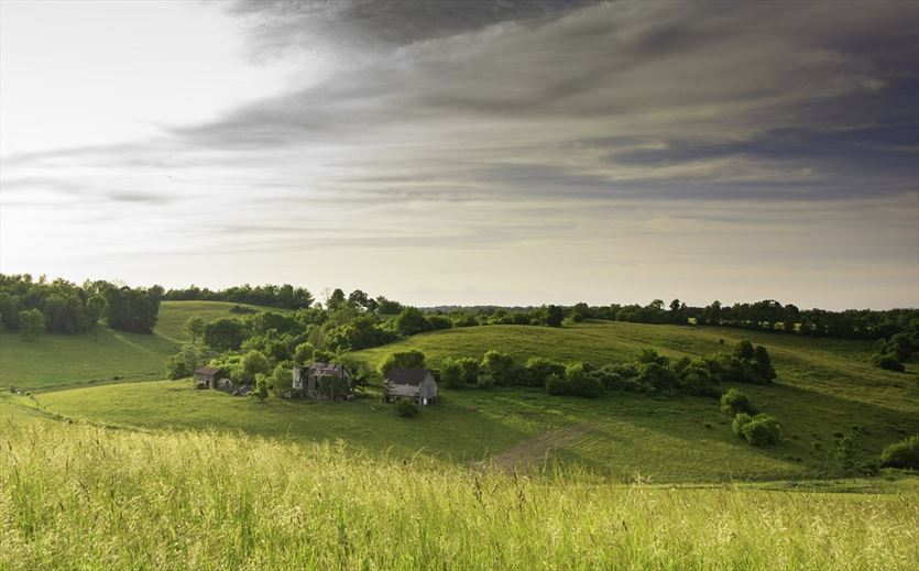 Cisza, spokój, piękne widoki - poznaj okolicę Grobli, Muflon. Agroturystyka, Grobla